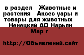  в раздел : Животные и растения » Аксесcуары и товары для животных . Ненецкий АО,Нарьян-Мар г.